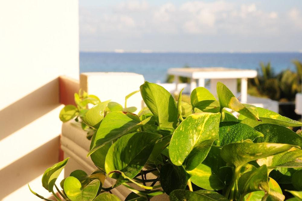 Hotel Posada Sian Kaan Playa Del Carmen Buitenkant foto